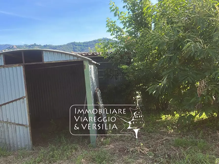 Immagine 7 di Terreno agricolo in vendita  in via Argine Padre Pietro a Massarosa