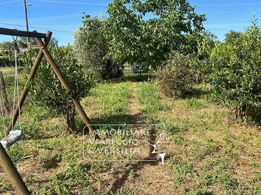 Immagine 1 di Terreno agricolo in vendita  in via Argine Padre Pietro a Massarosa