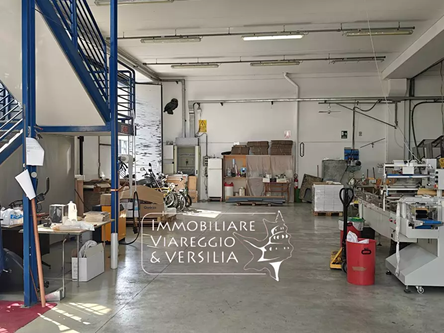 Immagine 19 di Magazzino in vendita  in via Libeccio 100 a Viareggio
