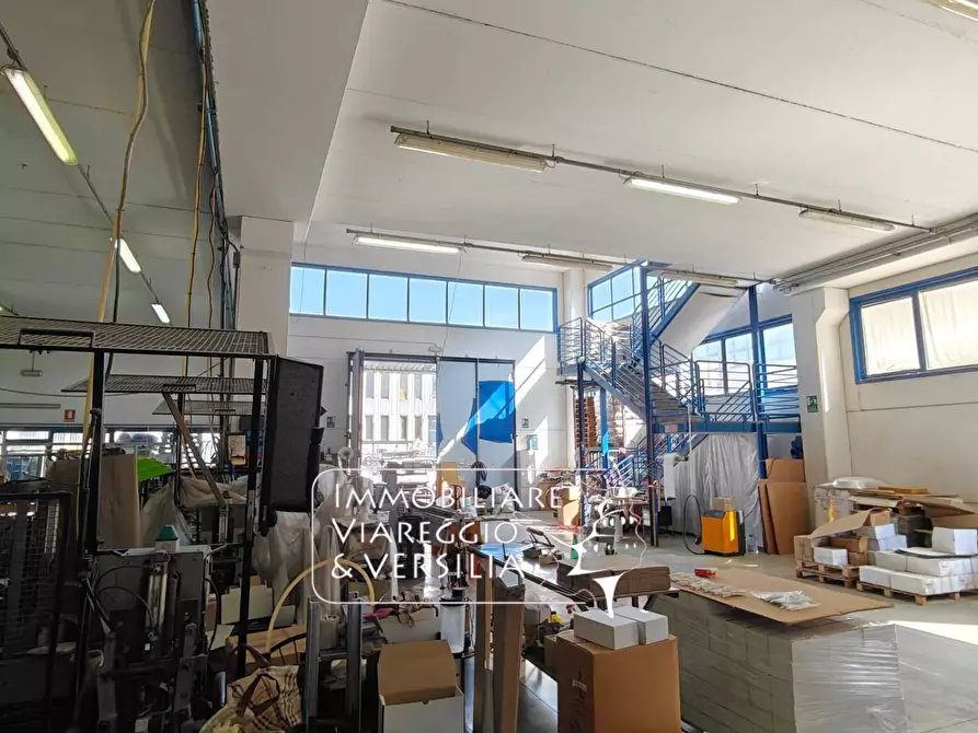 Immagine 4 di Magazzino in vendita  in via Libeccio 100 a Viareggio