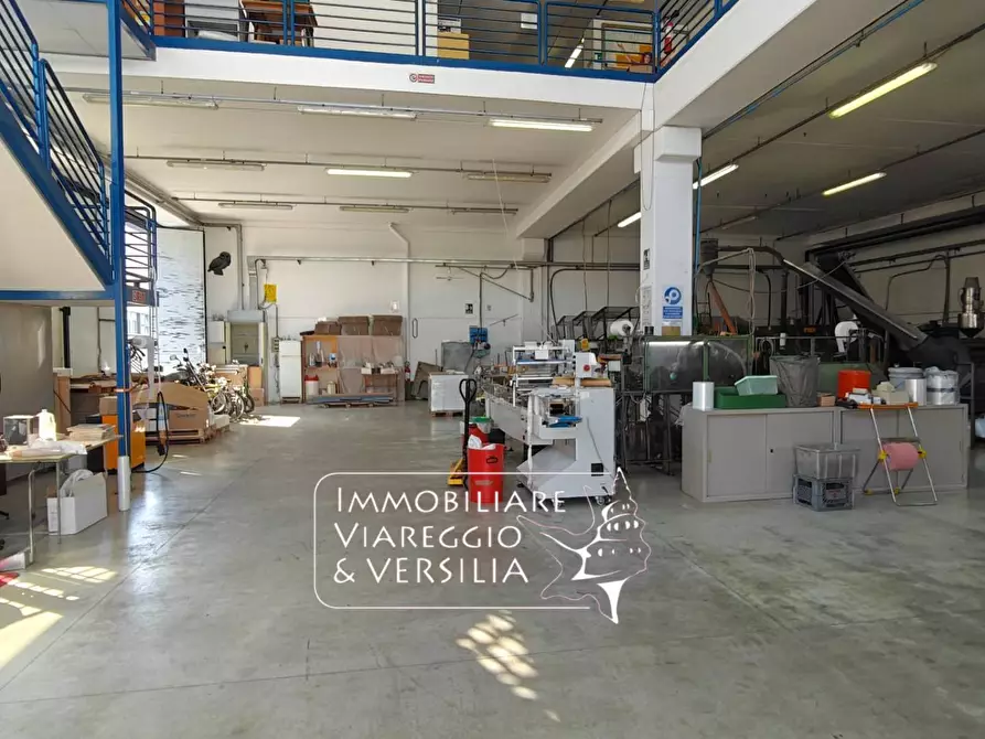 Immagine 7 di Magazzino in vendita  in via Libeccio 100 a Viareggio