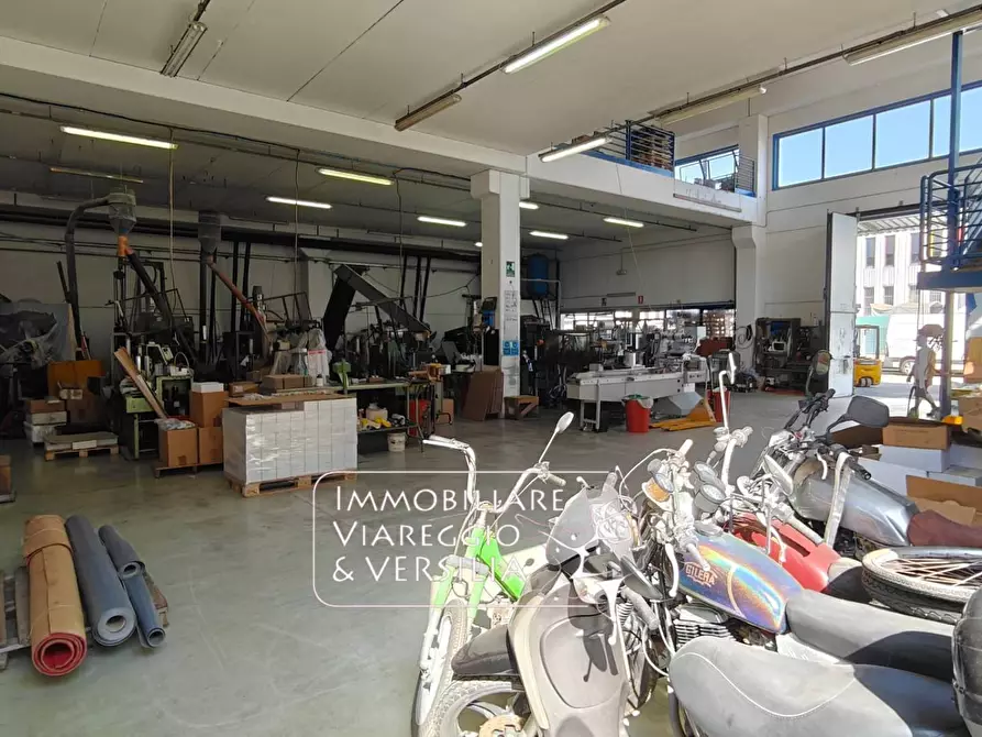 Immagine 5 di Magazzino in vendita  in via Libeccio 100 a Viareggio