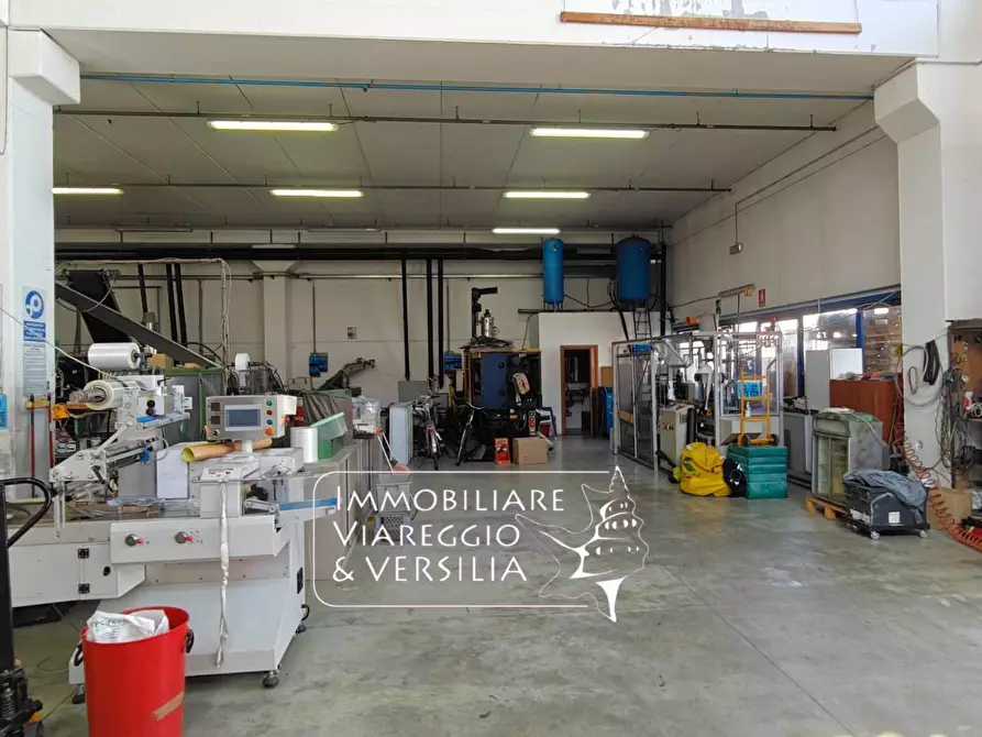 Immagine 20 di Magazzino in vendita  in via Libeccio 100 a Viareggio