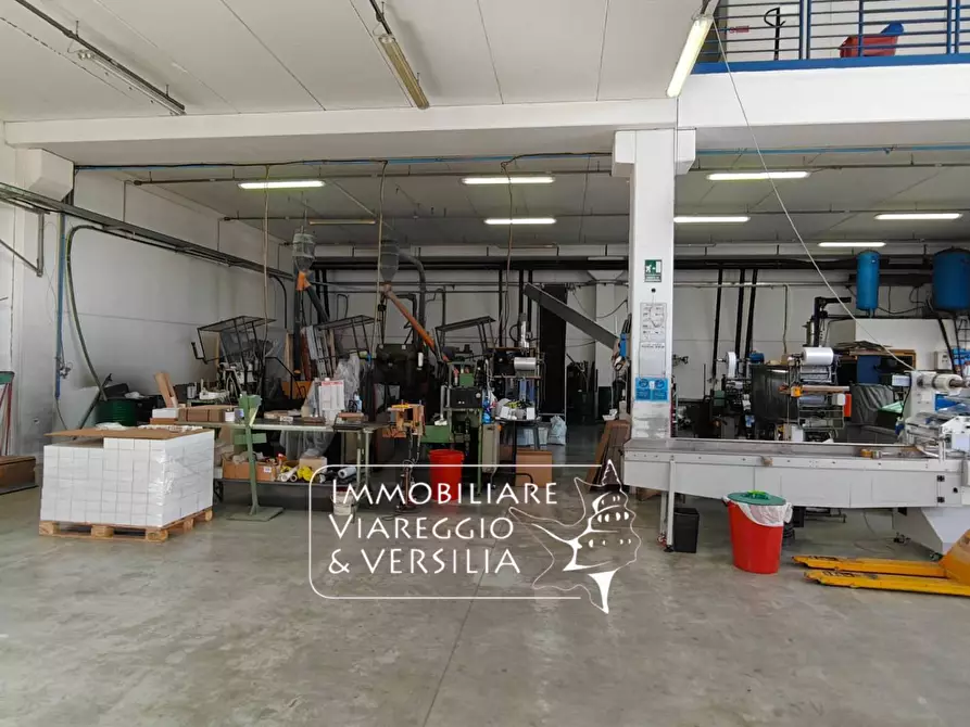Immagine 8 di Magazzino in vendita  in via Libeccio 100 a Viareggio