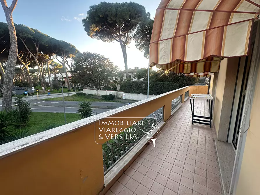 Immagine 44 di Casa semindipendente in vendita  in via Oberdan 15 a Viareggio