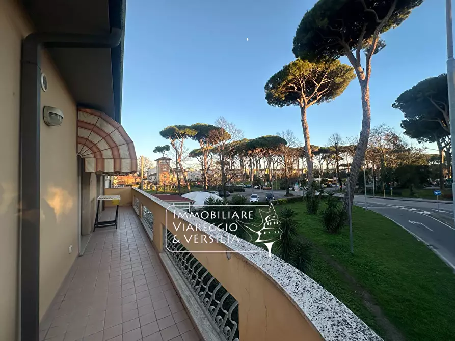 Immagine 45 di Casa semindipendente in vendita  in via Oberdan 15 a Viareggio