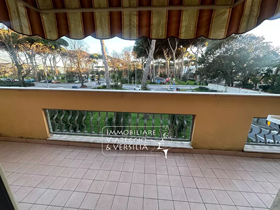 Immagine 50 di Casa semindipendente in vendita  in via Oberdan 15 a Viareggio