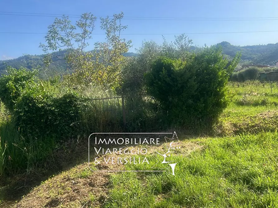 Immagine 2 di Terreno agricolo in vendita  in via Argine Padre Pietro a Massarosa