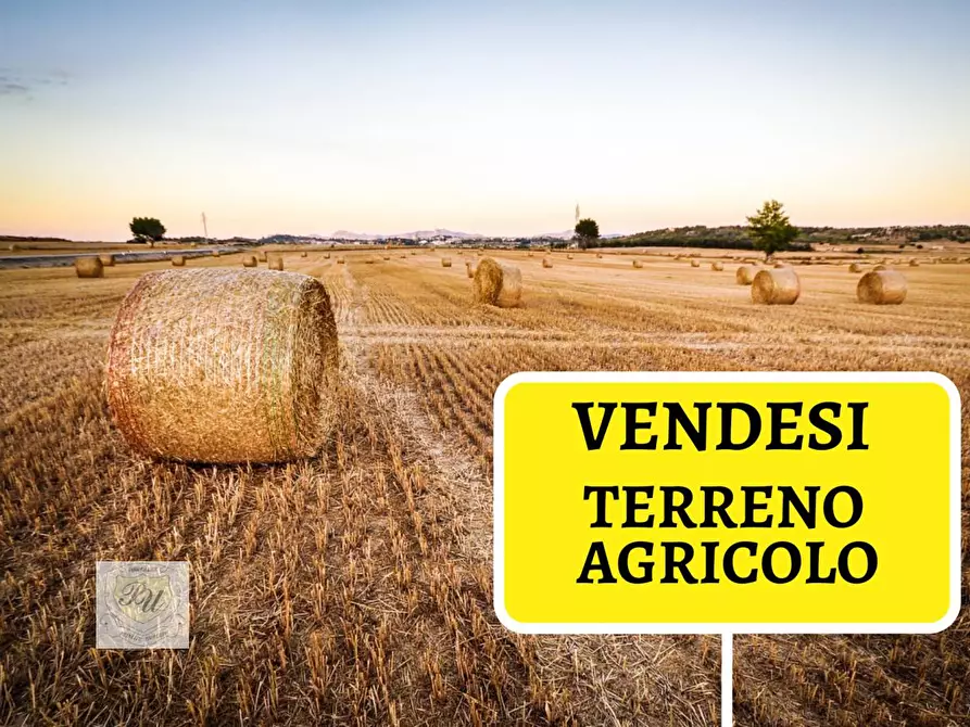Immagine 1 di Terreno agricolo in vendita  a Campolongo Tapogliano