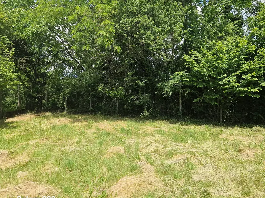 Immagine 5 di Box auto in vendita  in via marchi 17 a Campolongo Tapogliano