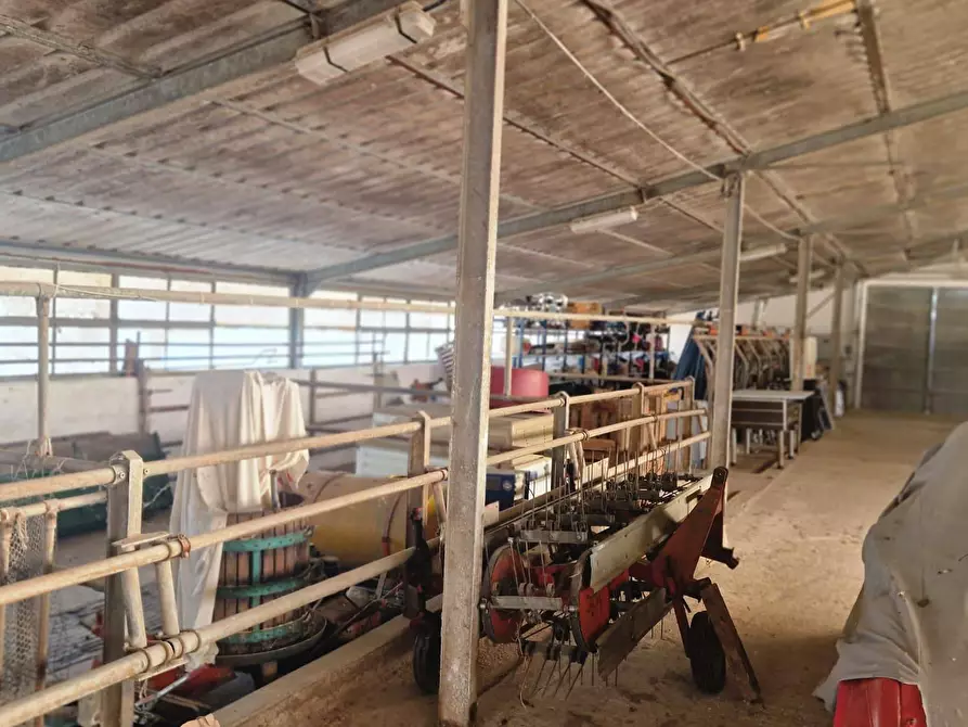 Immagine 2 di Capannone industriale in vendita  in via campagnola 18 a Campolongo Tapogliano