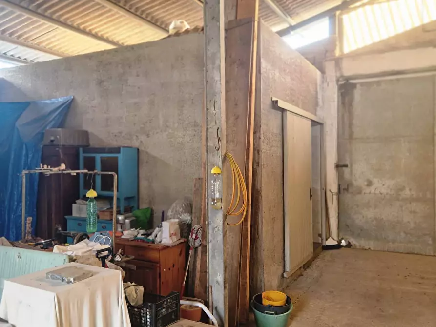 Immagine 6 di Capannone industriale in vendita  in via campagnola 18 a Campolongo Tapogliano