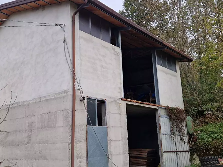 Immagine 1 di Magazzino in vendita  in via useunt a Tarcento