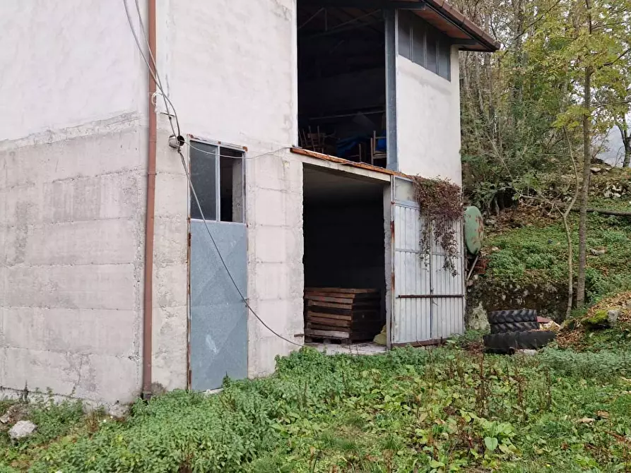 Immagine 3 di Magazzino in vendita  in via useunt a Tarcento