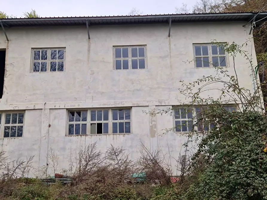 Immagine 2 di Magazzino in vendita  in via useunt a Tarcento