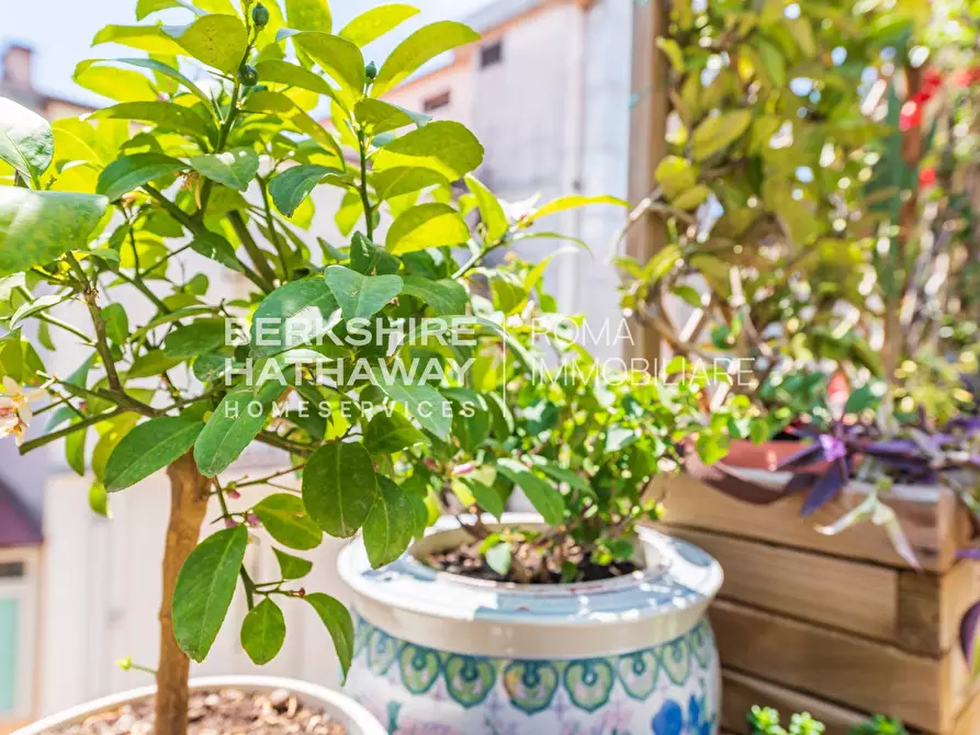 Immagine 42 di Appartamento in vendita  in Via Montebello a Roma