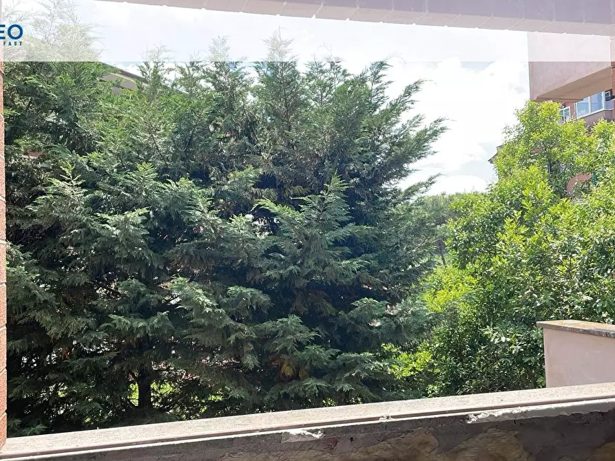 Immagine 18 di Appartamento in vendita  in Via Pietro Paolo Vergerio a Roma