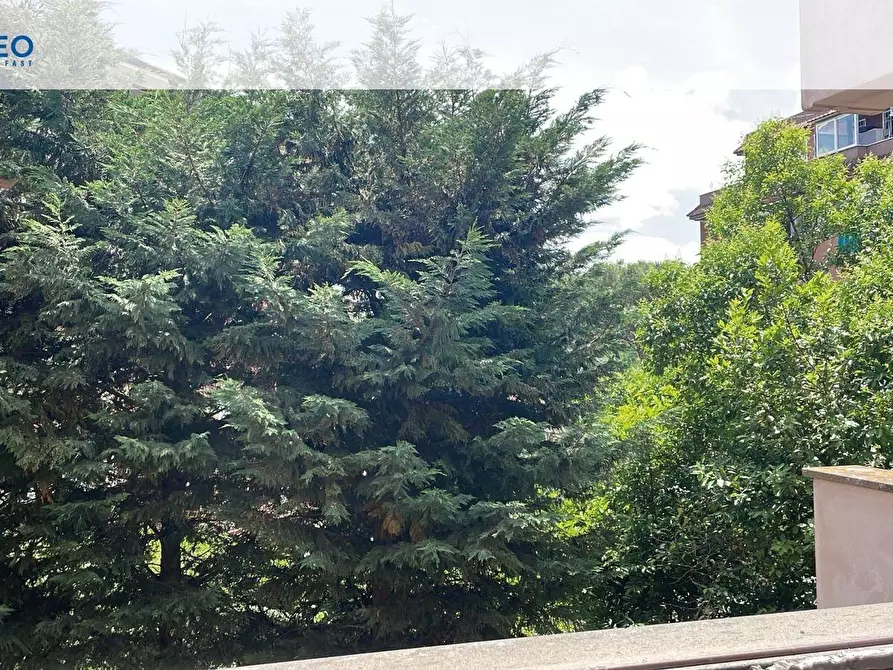 Immagine 19 di Appartamento in vendita  in Via Pietro Paolo Vergerio a Roma