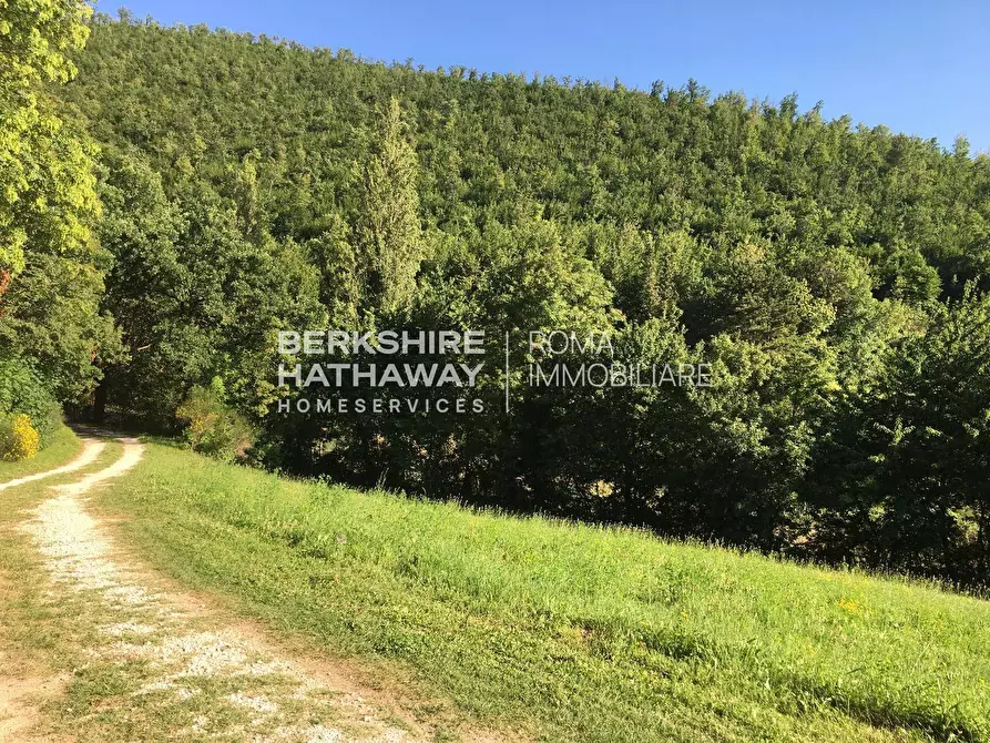 Immagine 39 di Rustico / casale in affitto  in Via del Colle a Trevi