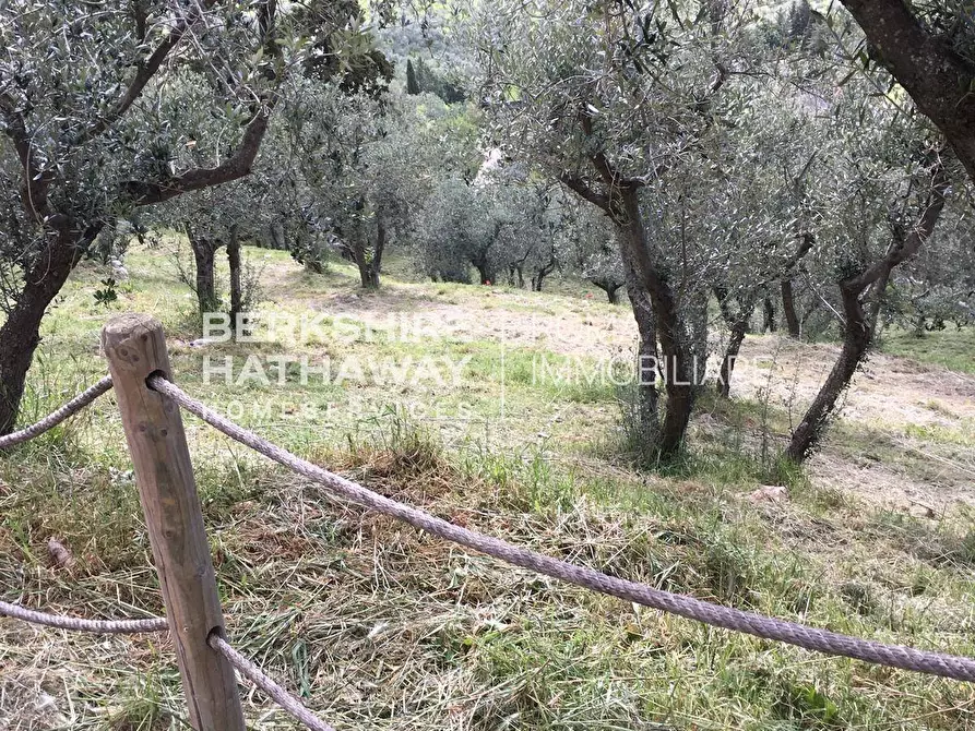 Immagine 43 di Rustico / casale in affitto  in Via del Colle a Trevi