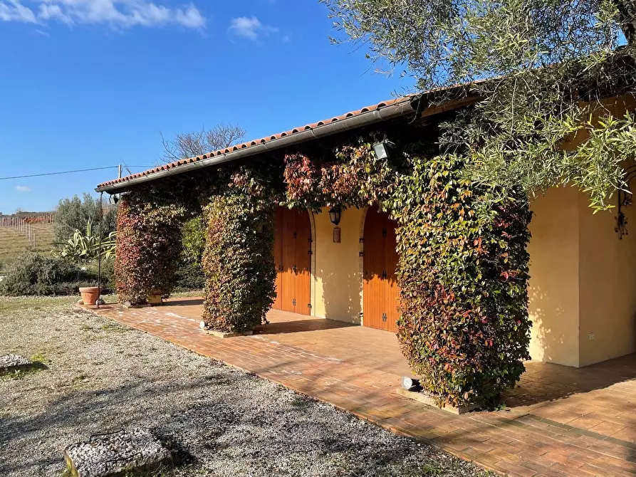 Immagine 5 di Rustico / casale in vendita  a Porto Sant'elpidio