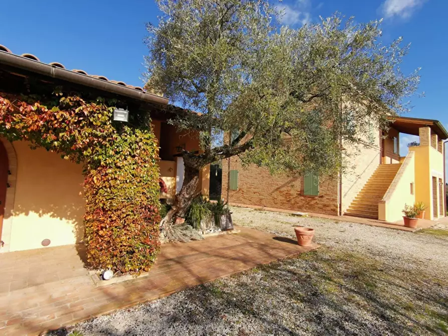 Immagine 28 di Rustico / casale in vendita  a Porto Sant'elpidio