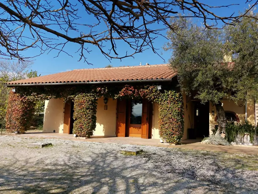 Immagine 33 di Rustico / casale in vendita  a Porto Sant'elpidio