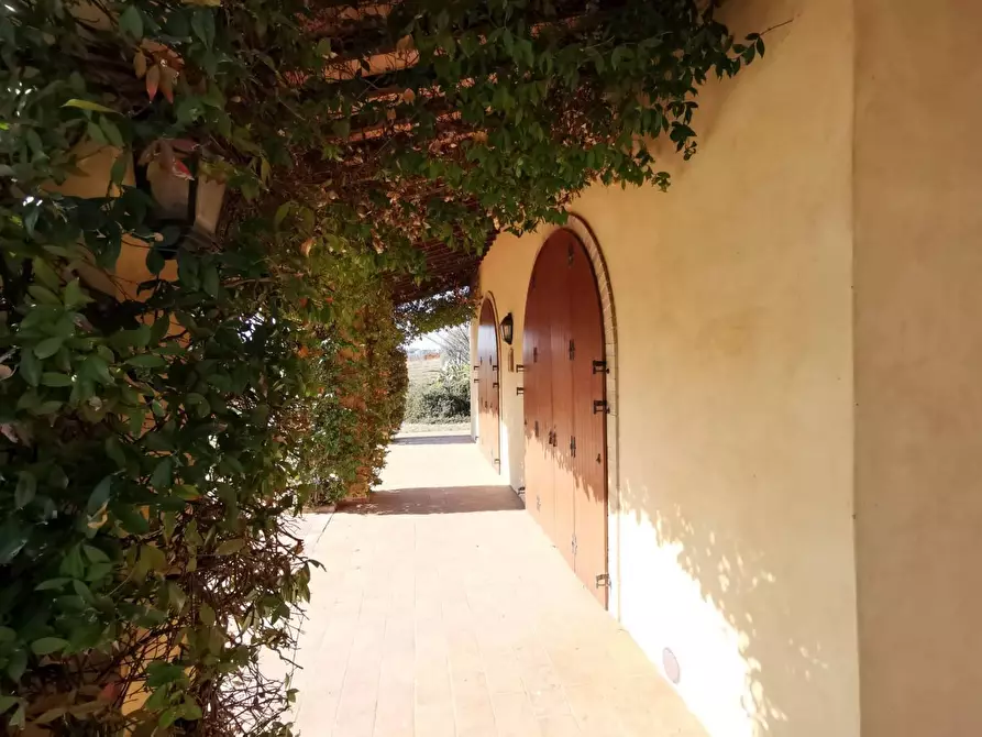 Immagine 36 di Rustico / casale in vendita  a Porto Sant'elpidio