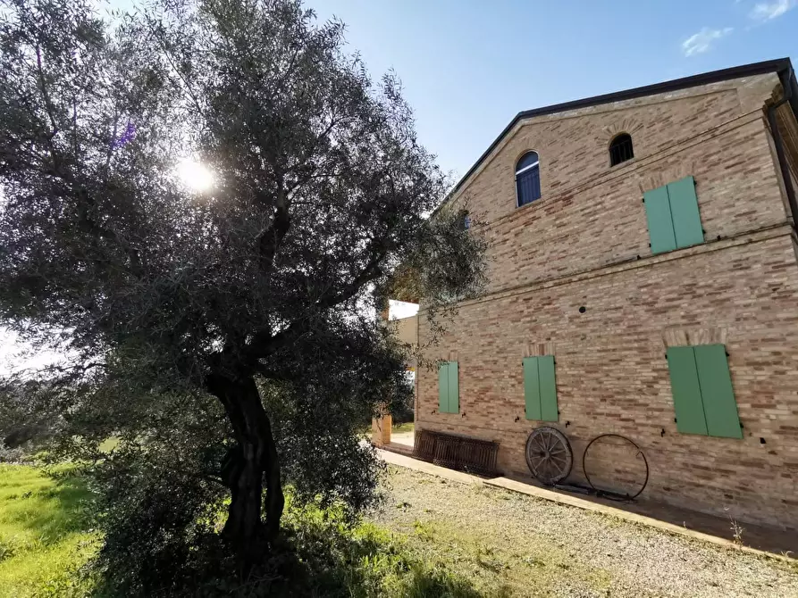 Immagine 39 di Rustico / casale in vendita  a Porto Sant'elpidio