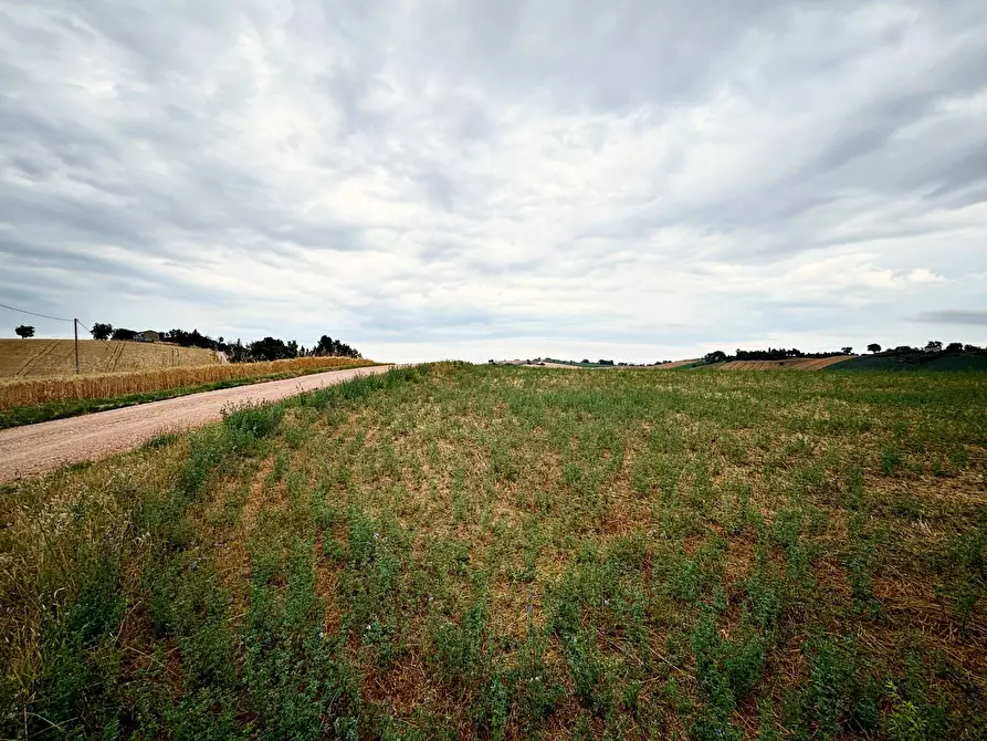 Immagine 2 di Terreno agricolo in vendita  in contrada montefiore a Recanati