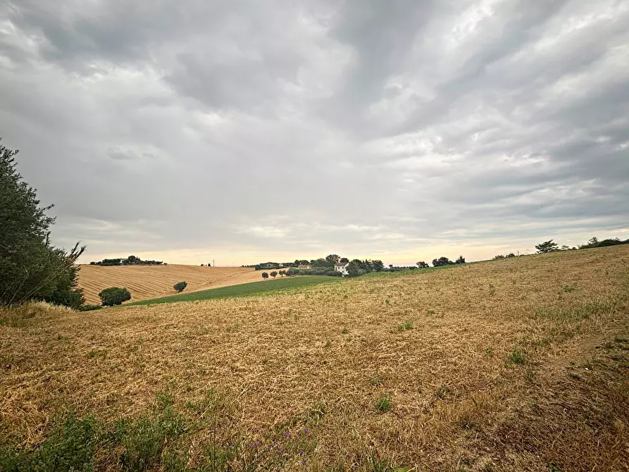 Immagine 2 di Rustico / casale in vendita  in contrada montefiore a Recanati