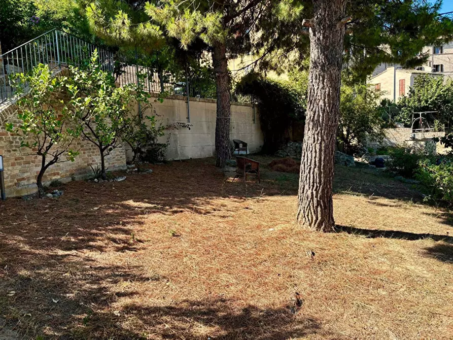 Immagine 38 di Villa in vendita  a Cupra Marittima