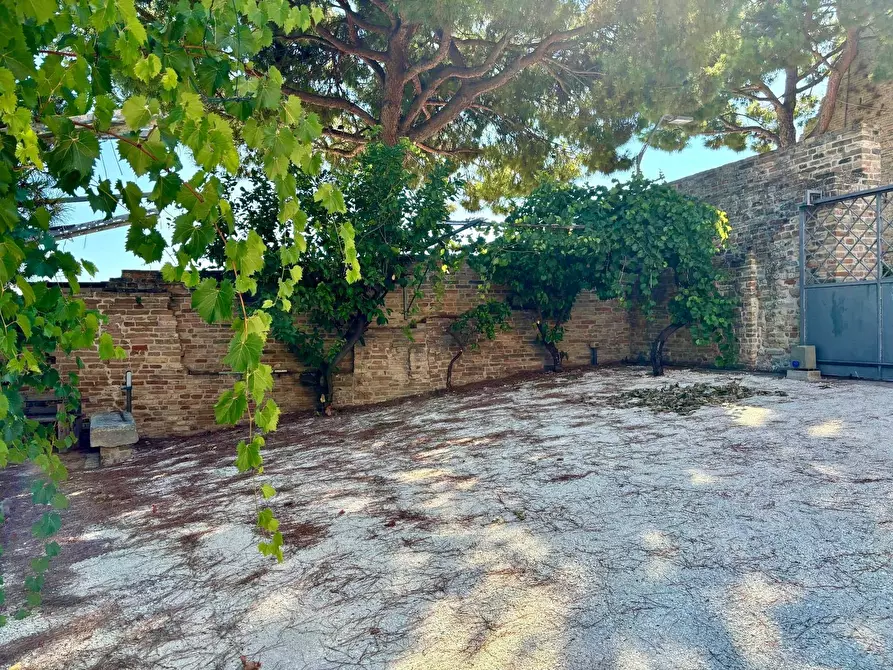 Immagine 39 di Villa in vendita  a Cupra Marittima