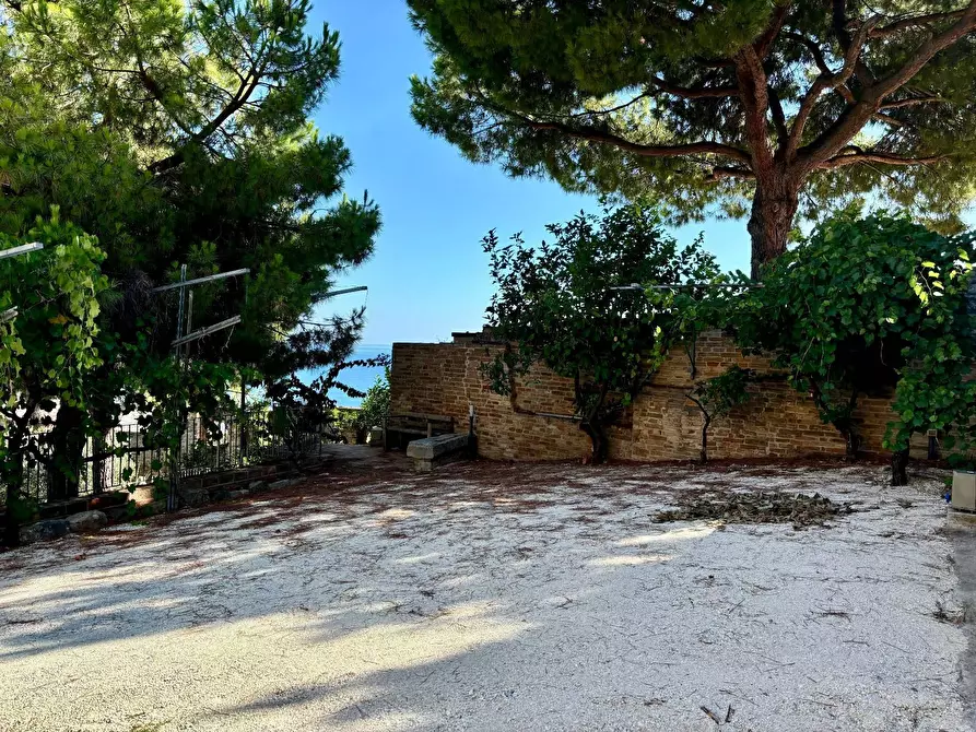 Immagine 40 di Villa in vendita  a Cupra Marittima
