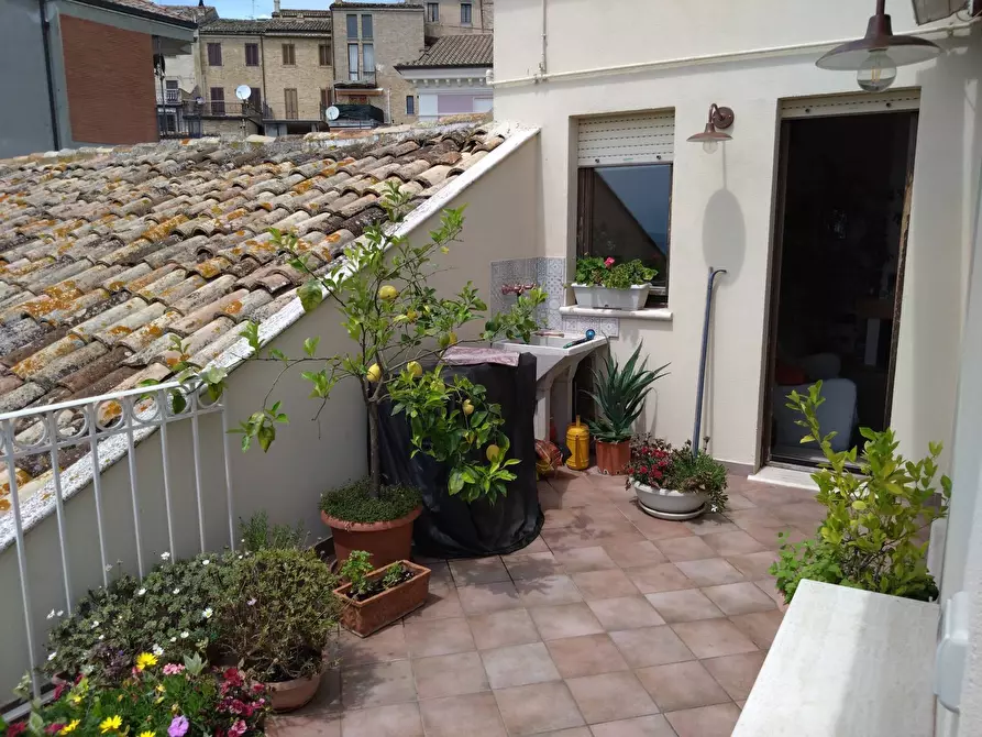 Immagine 11 di Casa indipendente in vendita  in piazza della liberta 18 a Acquaviva Picena