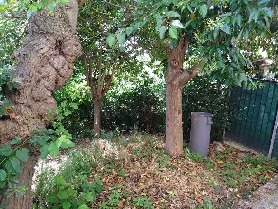 Immagine 47 di Casa indipendente in vendita  in piazza della liberta 18 a Acquaviva Picena