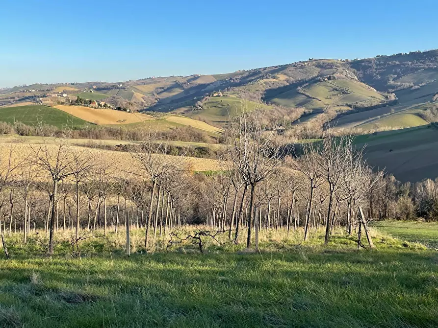 Immagine 4 di Casa indipendente in vendita  in contrada san venanzio a Castignano