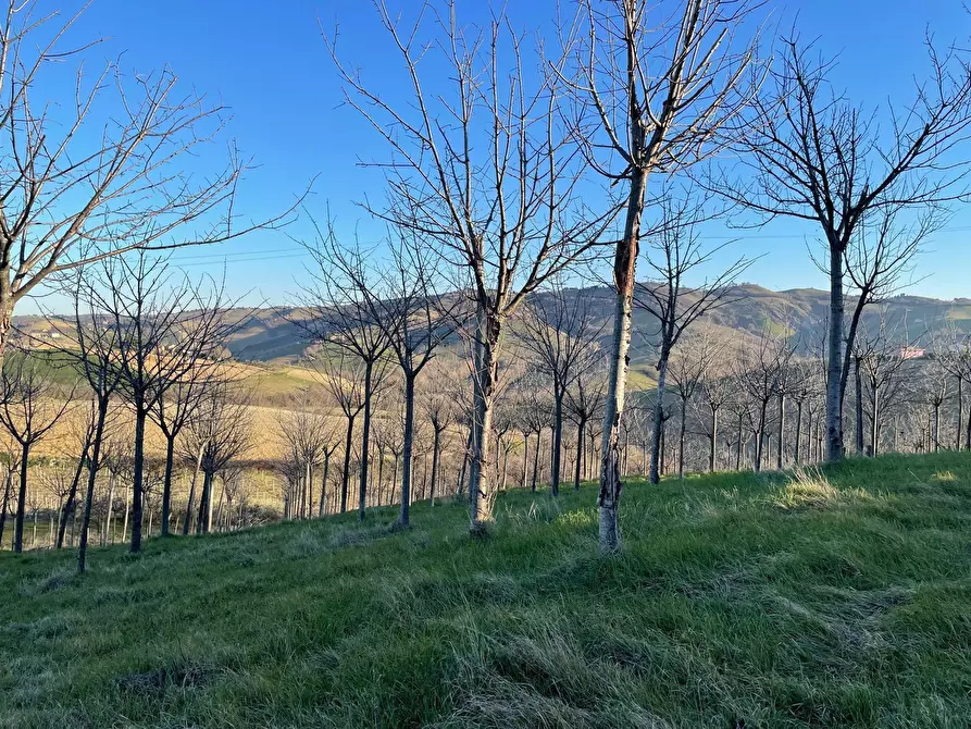 Immagine 23 di Casa indipendente in vendita  in contrada san venanzio a Castignano