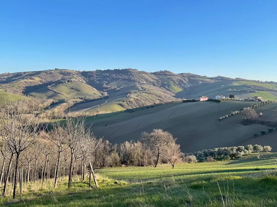 Immagine 15 di Casa indipendente in vendita  in contrada san venanzio a Castignano