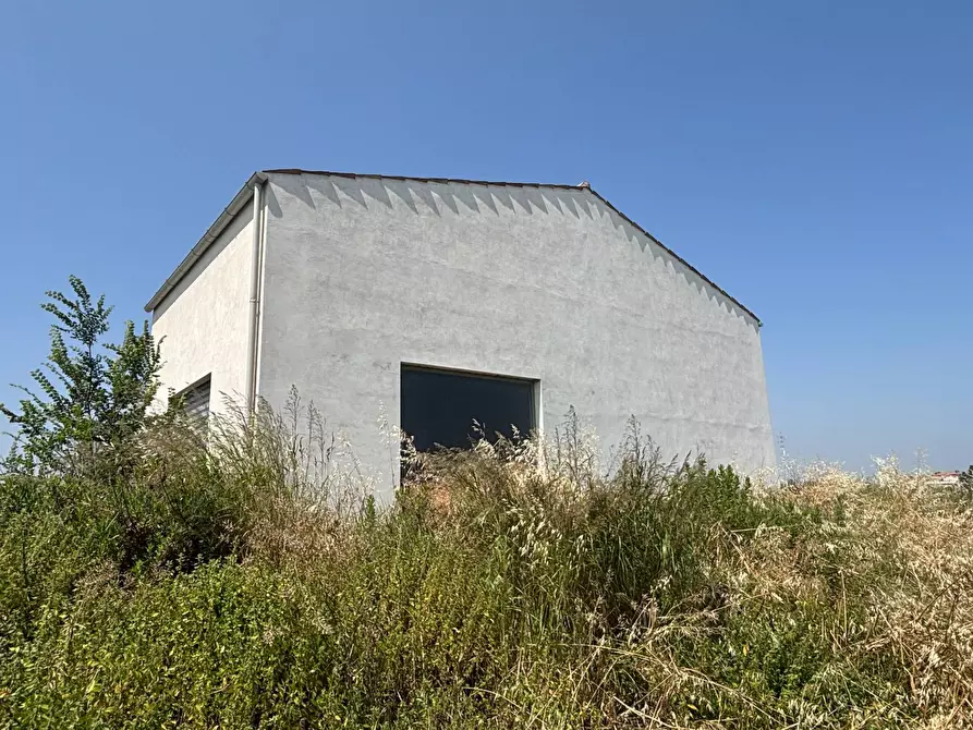 Immagine 5 di Villa in vendita  in contrada pescolla a Porto Sant'elpidio