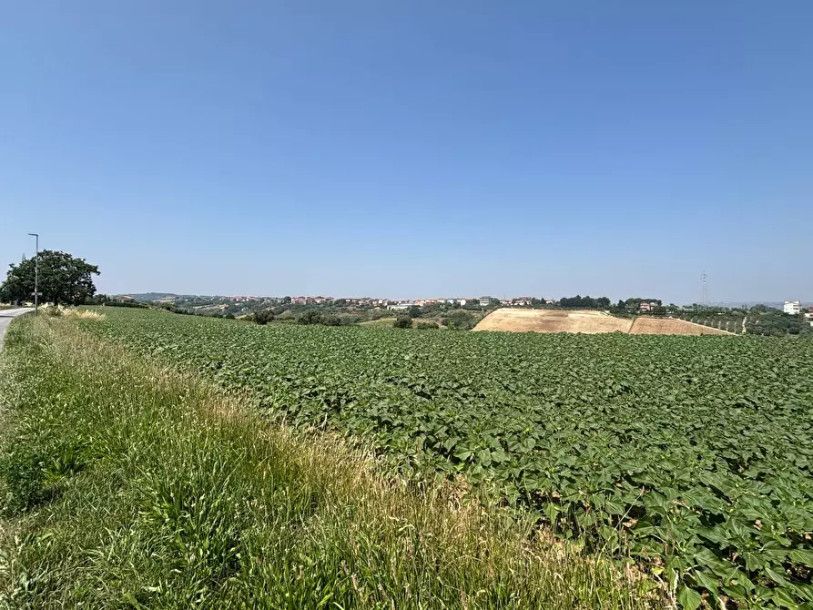 Immagine 6 di Villa in vendita  in contrada pescolla a Porto Sant'elpidio
