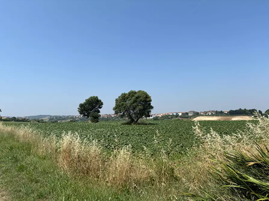 Immagine 10 di Villa in vendita  in contrada pescolla a Porto Sant'elpidio