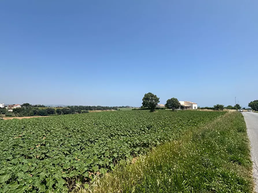 Immagine 11 di Villa in vendita  in contrada pescolla a Porto Sant'elpidio