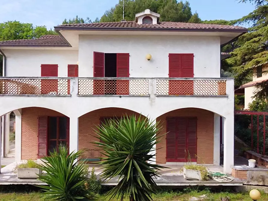 Immagine 2 di Villa in vendita  in via donizetti a Porto San Giorgio