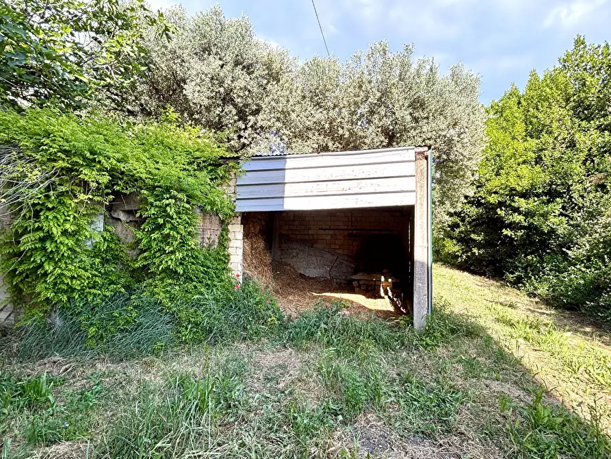 Immagine 6 di Rustico / casale in vendita  in via colle in su a Acquaviva Picena