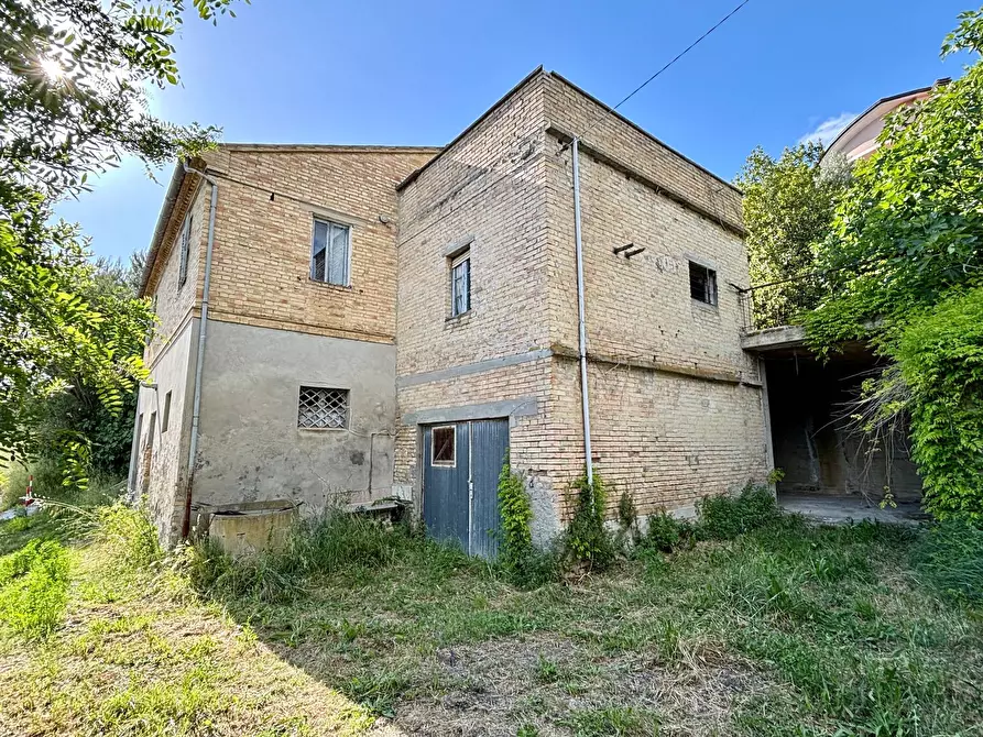 Immagine 3 di Rustico / casale in vendita  in via colle in su a Acquaviva Picena