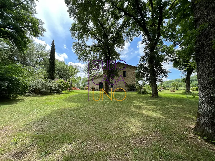 Immagine 23 di Rustico / casale in vendita  in via la pace a Bucine