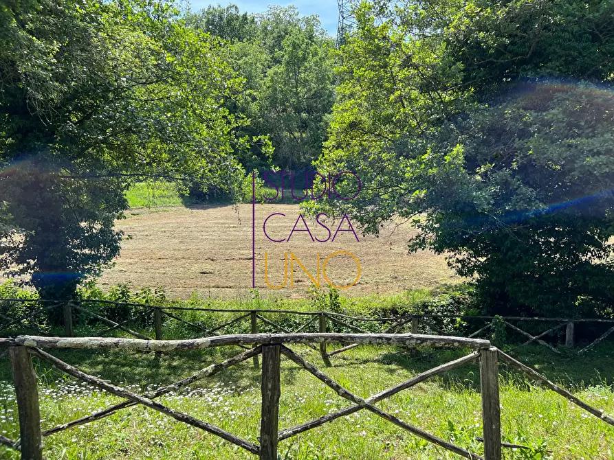 Immagine 2 di Rustico / casale in vendita  in via di moncioni a Montevarchi