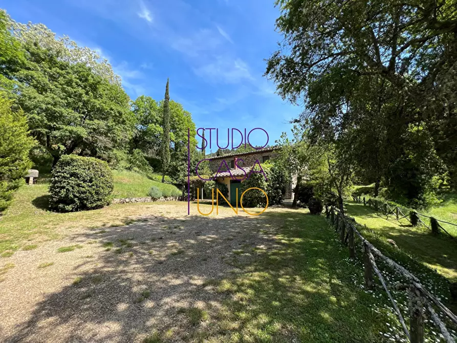 Immagine 4 di Rustico / casale in vendita  in via di moncioni a Montevarchi