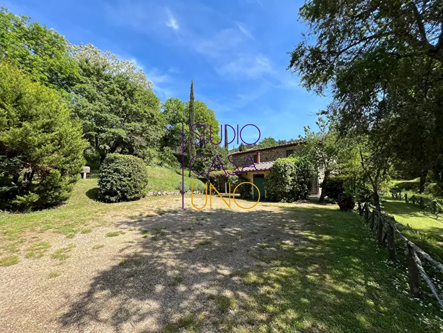 Immagine 5 di Rustico / casale in vendita  in via di moncioni a Montevarchi